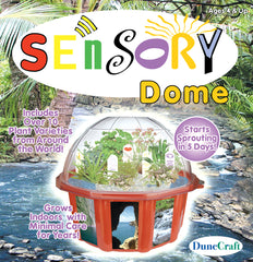 Sensory Dome